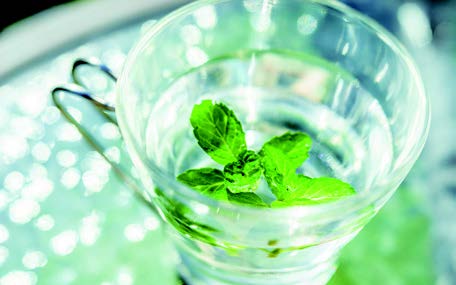 24ハーブティを活用してスッキリ快適な生活を！